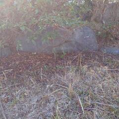 生活雑貨 家庭用品 ガーデニング