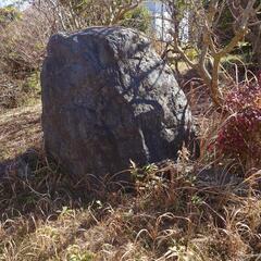 生活雑貨 家庭用品 ガーデニング