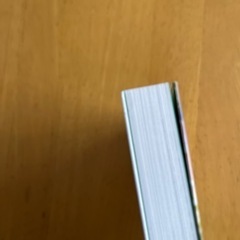 ゴゴスマの石井です。著者　石井亮次の画像
