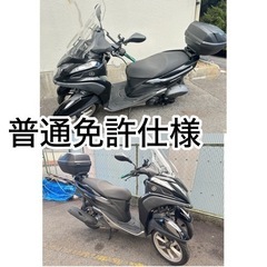 3月までに購入の方3000円引き！トリシティ125普通免許