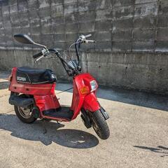 ホンダ　スカッシュ　12v セル付き