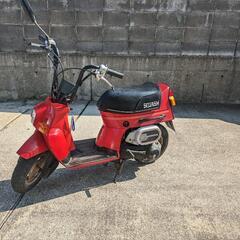 ホンダ　スカッシュ　12v セル付きの画像