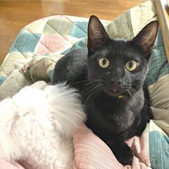 ＼膝の上が大好き♡／  