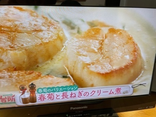 テレビ　パナソニック製19型