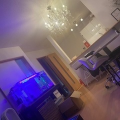 900大型水槽セット