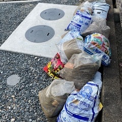 庭から出た土