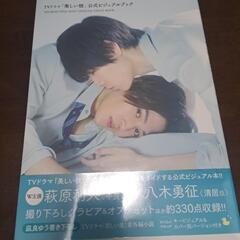 美しい彼ビジュアルブック