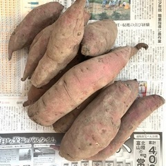 今シーズン最後!!無くなり次第終了です！