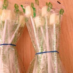 口腔ケアスポンジ、吸引くるリーナブラシの画像