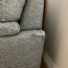 ニトリ　キャッツ3の画像