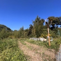 売地‼️福岡県八女市吉田売地♪