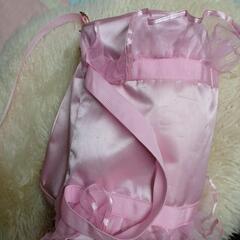 バレエバッグの画像