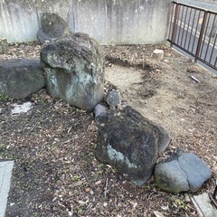 imgrc0087827345.jpg