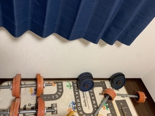 ホームジム