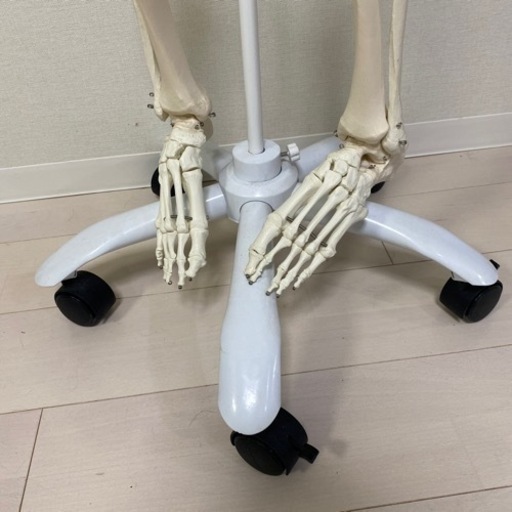 【お取引き中】人体骨格模型