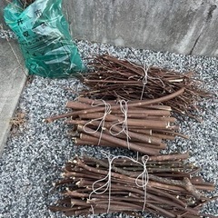 伐採した庭木貰ってください