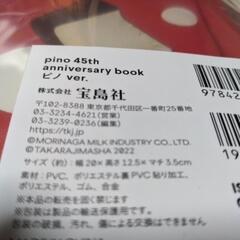 pino45th　ポーチ！の画像