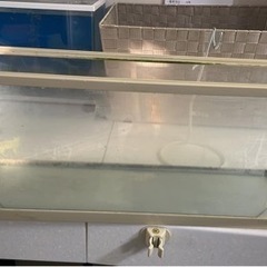 水槽の画像