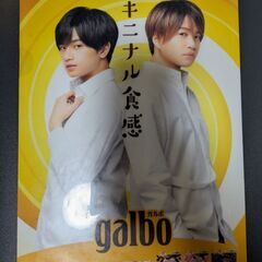 菊池風磨中島健人クリアファイル