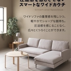 引取限定】ブリッグスストラットン PO500N22S 芝刈り機 中古品【うるま