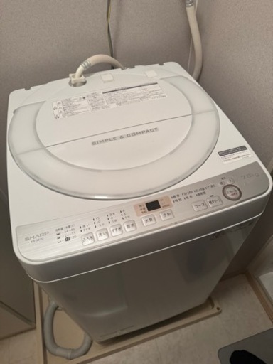 家電 生活家電 洗濯機
