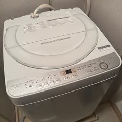家電 生活家電 洗濯機