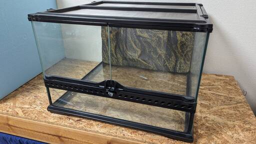 グラステラリウム4530