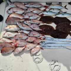 行きましょう伊勢湾へ　ボートフィッシングメンバー伊勢湾！募集中🎣 - メンバー募集