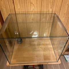 60cmワイド水槽