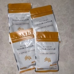 サジー　乳酸菌　サプリ