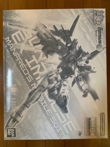 ガンプラ  エクスインパルス   エールカラミティ