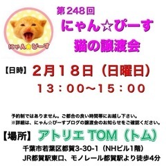 2月18日(日)🌸にゃん☆ぴーす猫の譲渡会🌸「アトリエTOM」J...