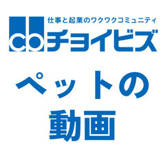 ペットとの思い出を動画に