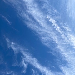 やさしいエアロビクス‼️心と体リフレッシュ✨受講生募集中です