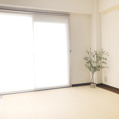 40代50代が大活躍！浦安市・市川市の着付け教室・出張着付け・着物活用相談の画像