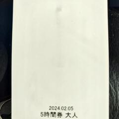 群馬みなかみほうだいぎスキー場　リフト券の画像