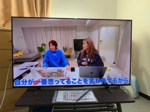 テレビ　液晶テレビ　東芝　REGZA  50z570k 2023年製  4k