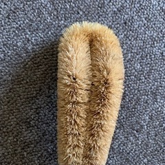 排水口ブラシ　お譲りしますの画像
