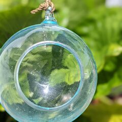 バリ雑貨をお値打ちに！テラリウムガラスポット（ball）