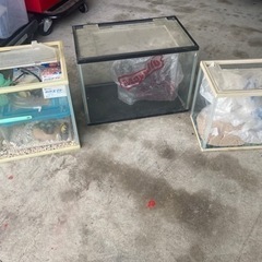 水槽　3つまとめ売り