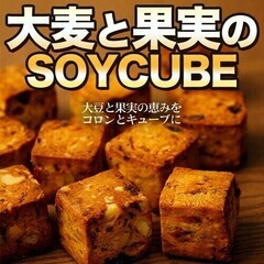 大麦と果実のソイキューブ　1ケース 16入り