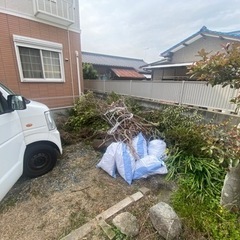 枝をゴミ袋に入れて下さい