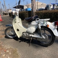 レア、白色、スーパーカブリトルブ50 CCAA01-380844...