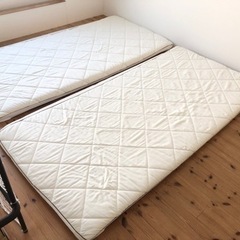 シングル×2枚　高反発or硬質 ニトリのマットレスの画像