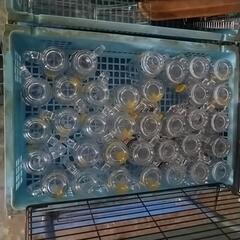 角ハイとジムビームのジョッキの画像