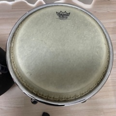 REMO コンガの画像