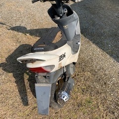 ライブディオZX の画像