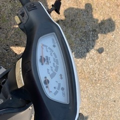 ライブディオZX の画像