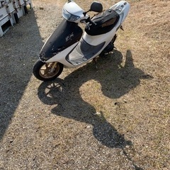 ライブディオZX の画像