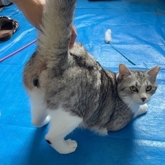 図体はデカいけどビビで甘えん坊さん✌︎('ω')✌︎